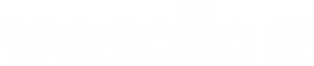 Wesclic - IT & Software Development Company