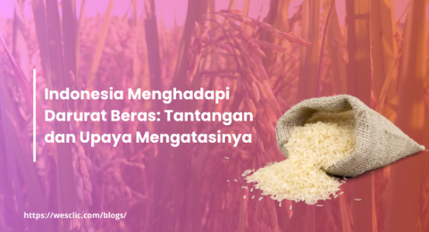 [Blog] indonesia Meghadapi Darurat Beras