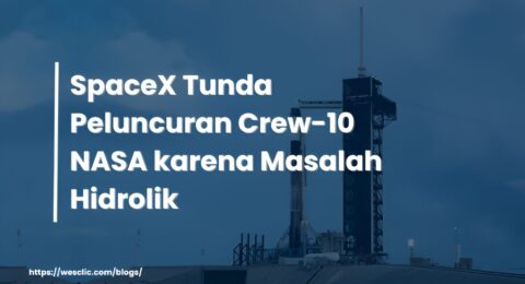 10n (1)
